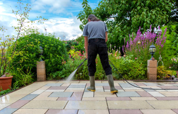 Best Animal Enclosure Cleaning  in Conesus Lake, NY